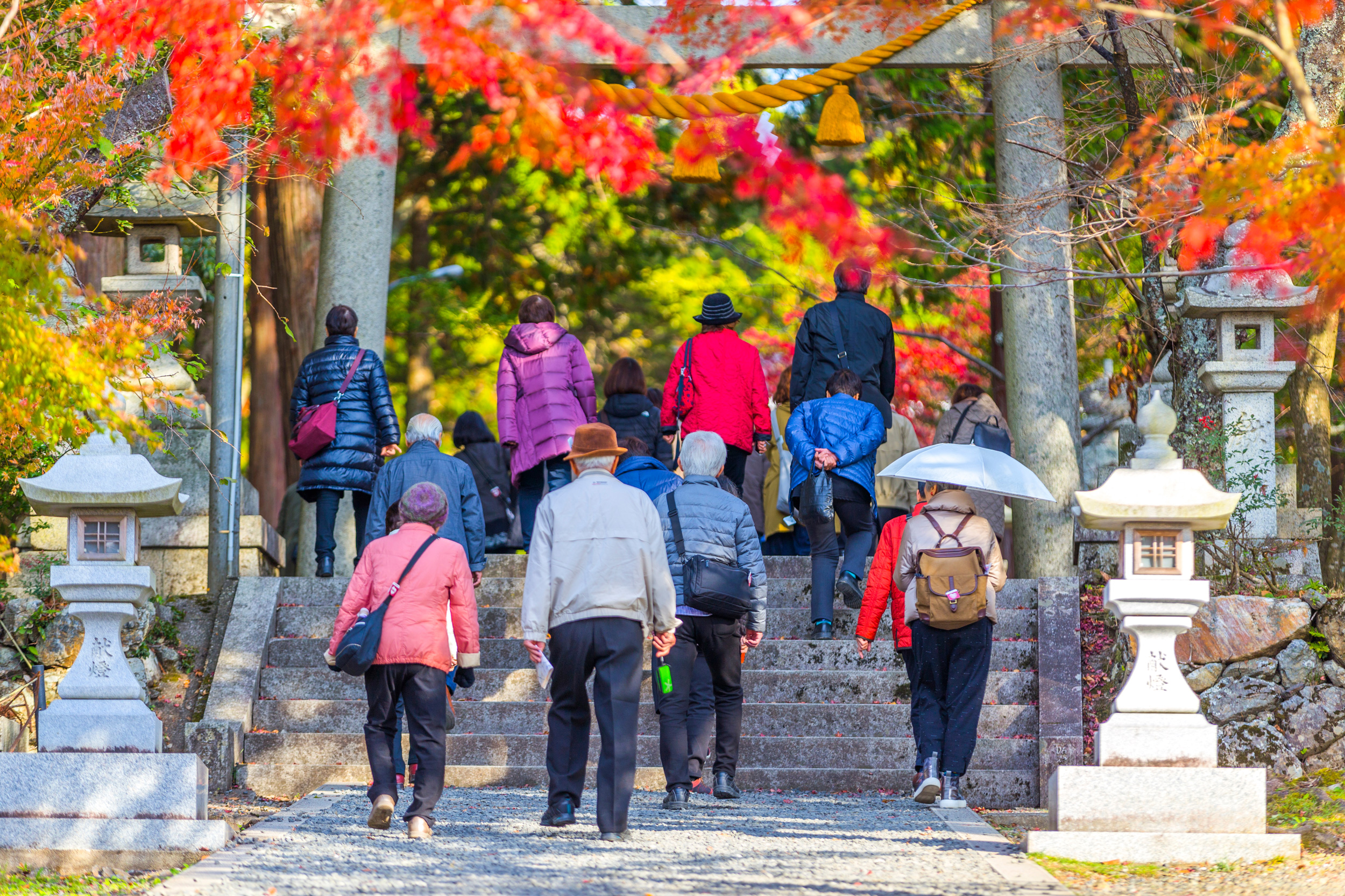 健やかに生きるために毎日の食事に向き合う